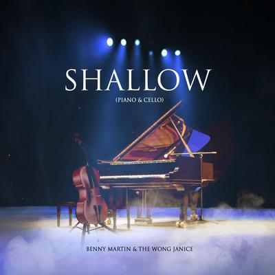 Shallow (Piano & Cello)'s cover