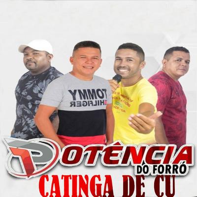 Potência Do Forró's cover