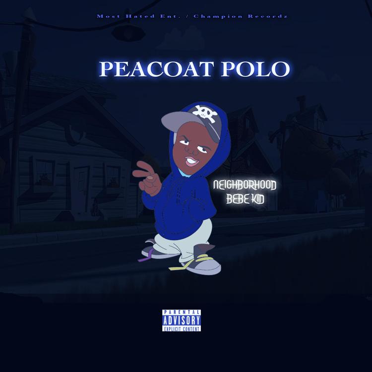 Peacoat Polo's avatar image