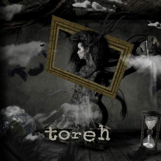 Toreh's avatar image