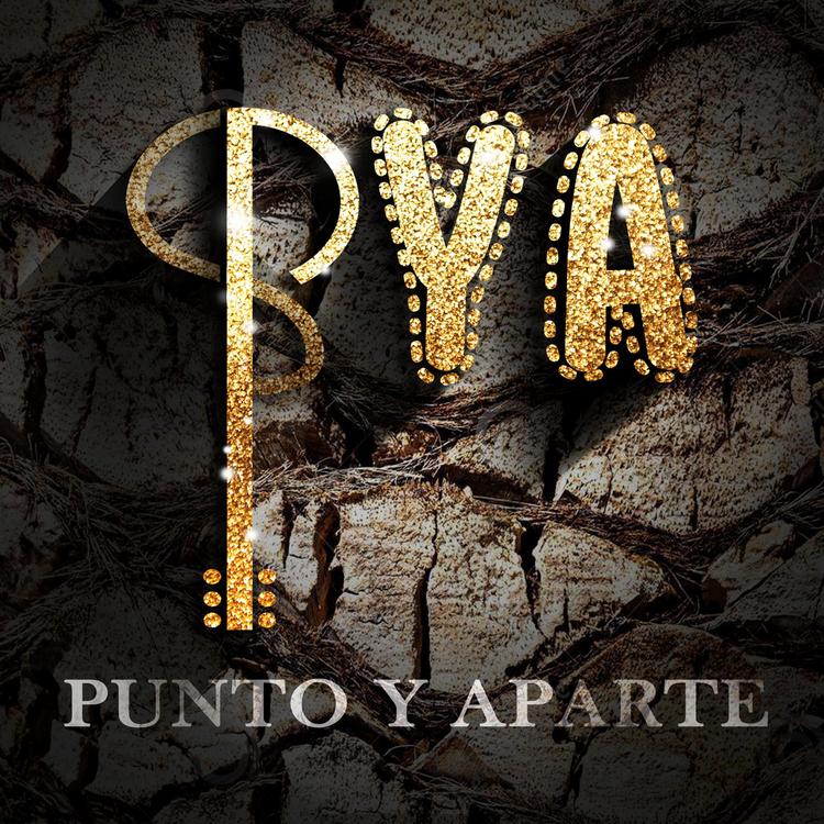 Punto y Aparte's avatar image