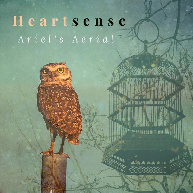 Heartsense's avatar image