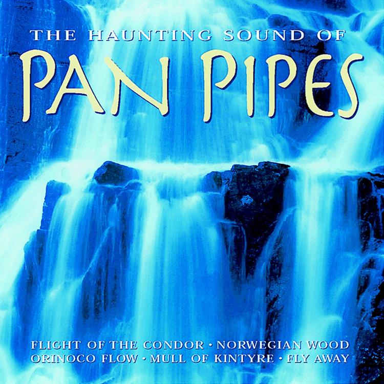 The Pan Pipers's avatar image
