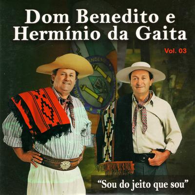 Saudade dos Velhos Tempos By Dom Benedito & Hermínio da Gaita's cover