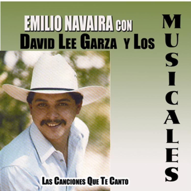 David Lee Garzay Los Musicales's avatar image