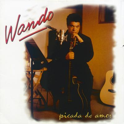 É amor By Wando's cover