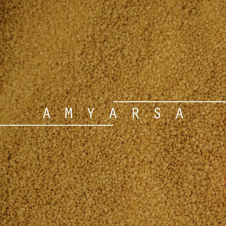 Amyarsa's avatar image