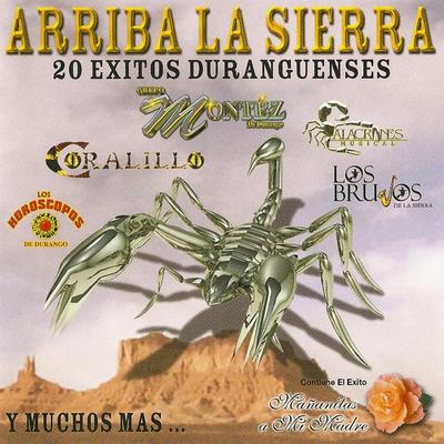 Arriba La Sierra 20 Exitos Duranguenses's cover