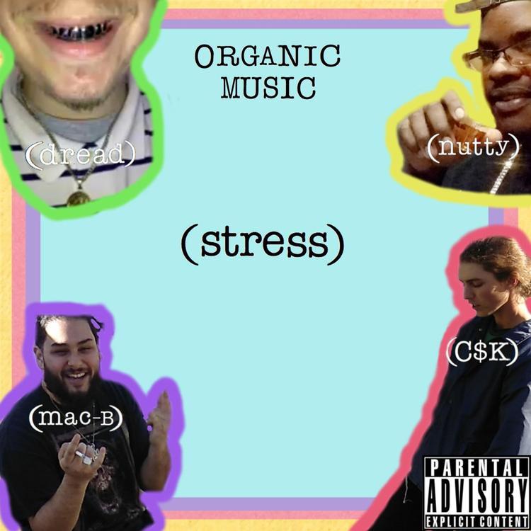 Organic Music's avatar image