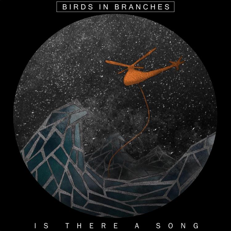 Birds in Branches's avatar image