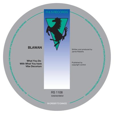 Vibe Decorium By Blawan's cover