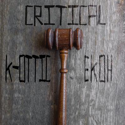 Critical (feat. Ekoh)'s cover