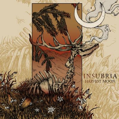 Legacy By Insubria's cover
