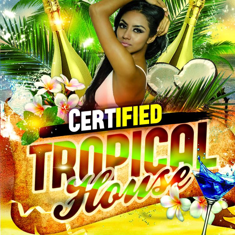 Tropical Dance Music's avatar image