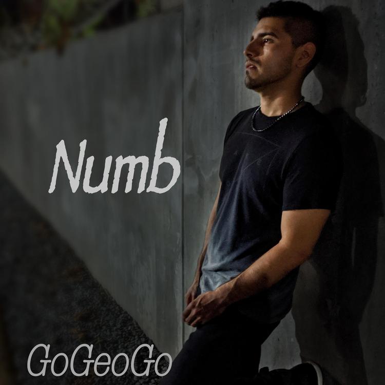 GoGeoGo's avatar image