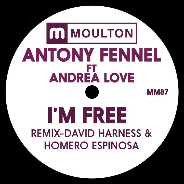 Antony Fennel's avatar image