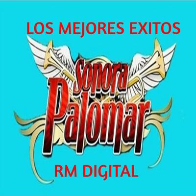 Sonora Palomar's cover