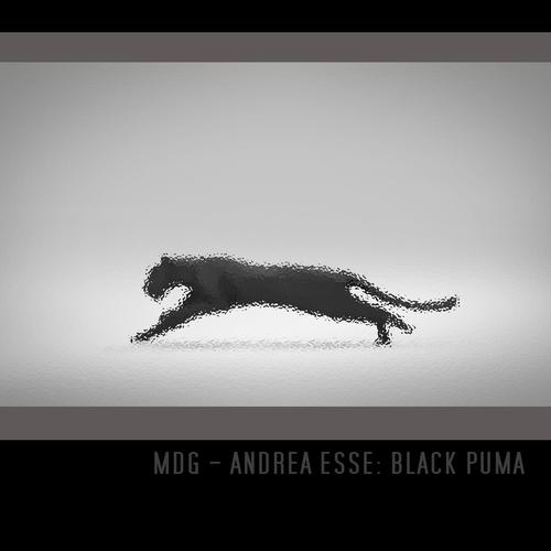 Black on sale puma music