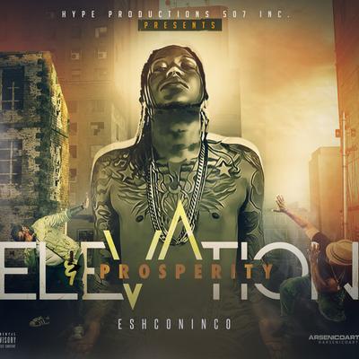 Elevation & Prosperity's cover