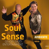 Soul and Sense's avatar cover