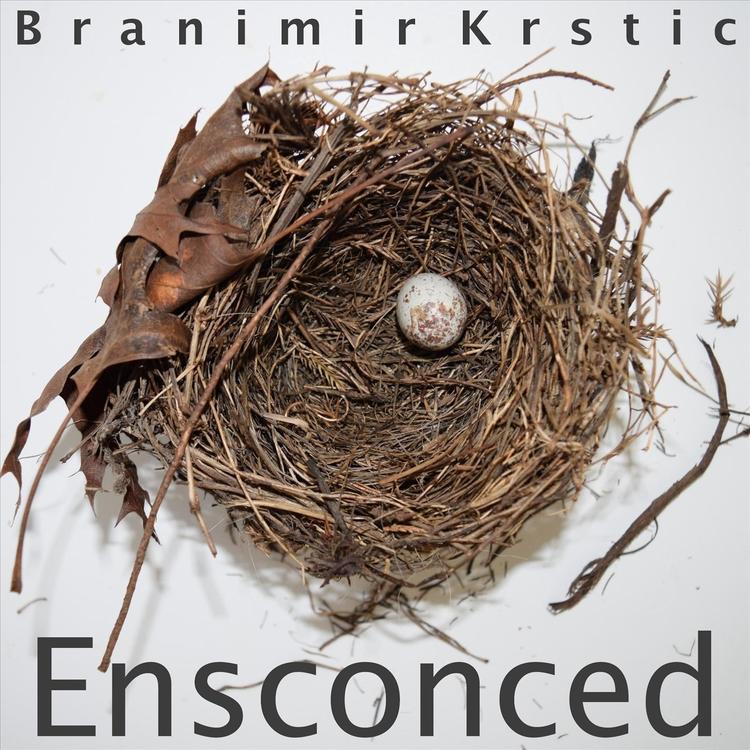 Branimir Krstic's avatar image