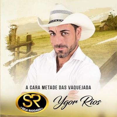 Vida de Gado By Ygor Rios's cover