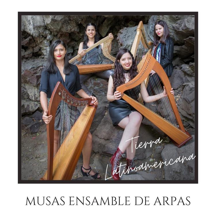 Musas Ensamble de Arpas's avatar image