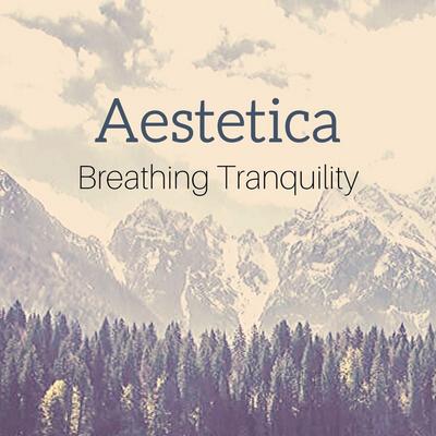 Aestetica's cover