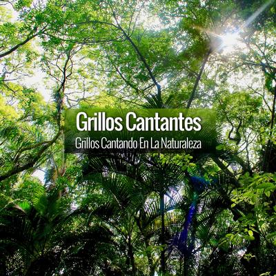 Grillos Cantando en la Naturaleza By Grillos Cantantes's cover