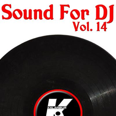 SOUND FOR DJ VOL 14's cover