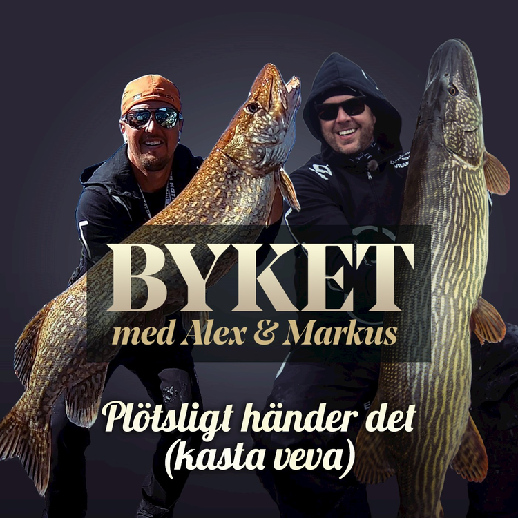 BYKET's avatar image