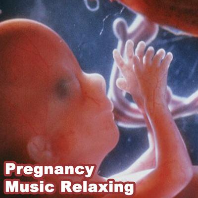 Pregnancy Wombsounds Music's cover