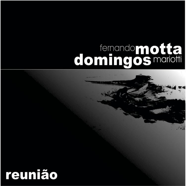 Fernando Motta Domingos Mariotti's avatar image