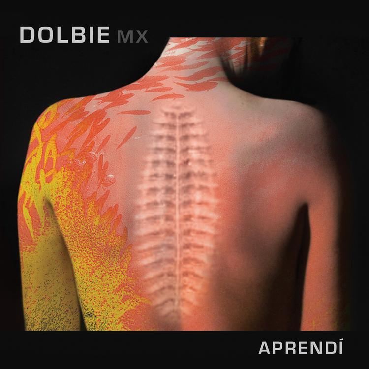 Dolbie Mx's avatar image