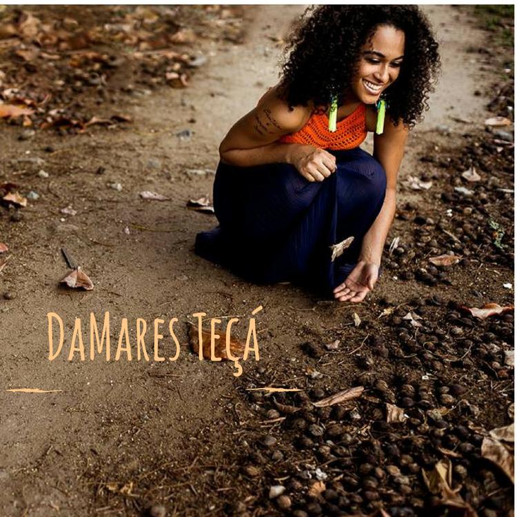 Damares Teçá's avatar image