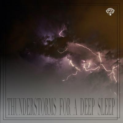 Thunderwaves By Thunderstorms's cover