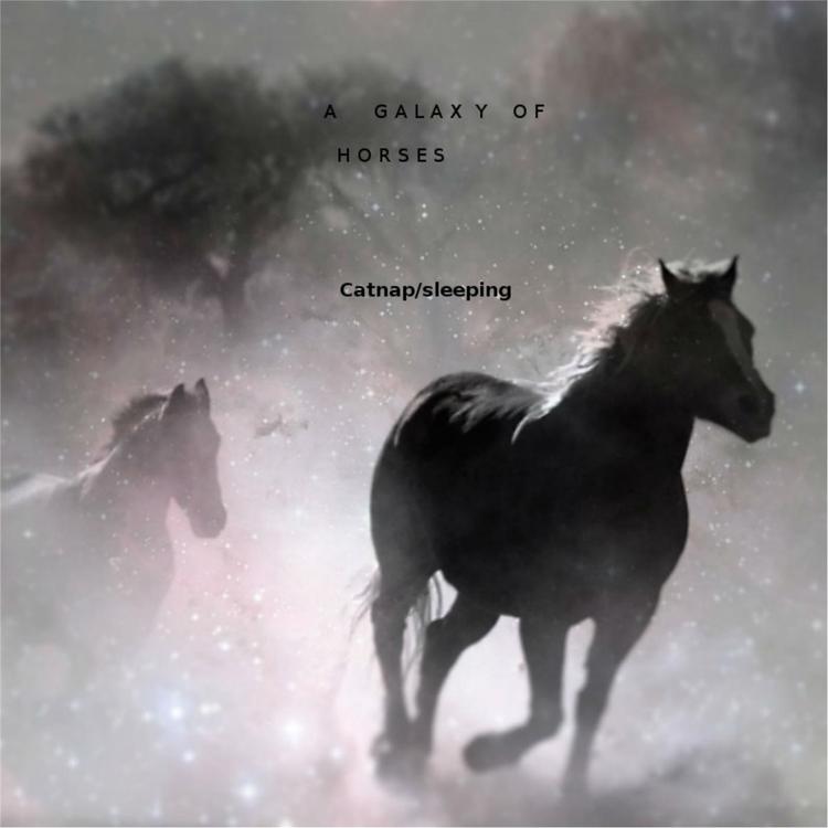 A Galaxy of Horses's avatar image