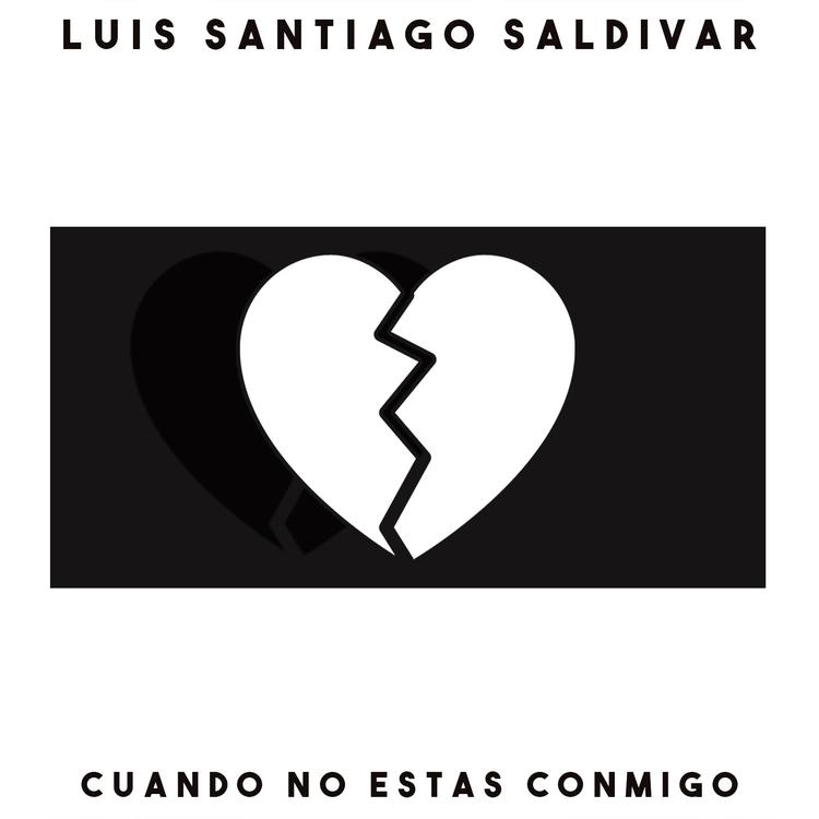 Luis Santiago Saldivar's avatar image