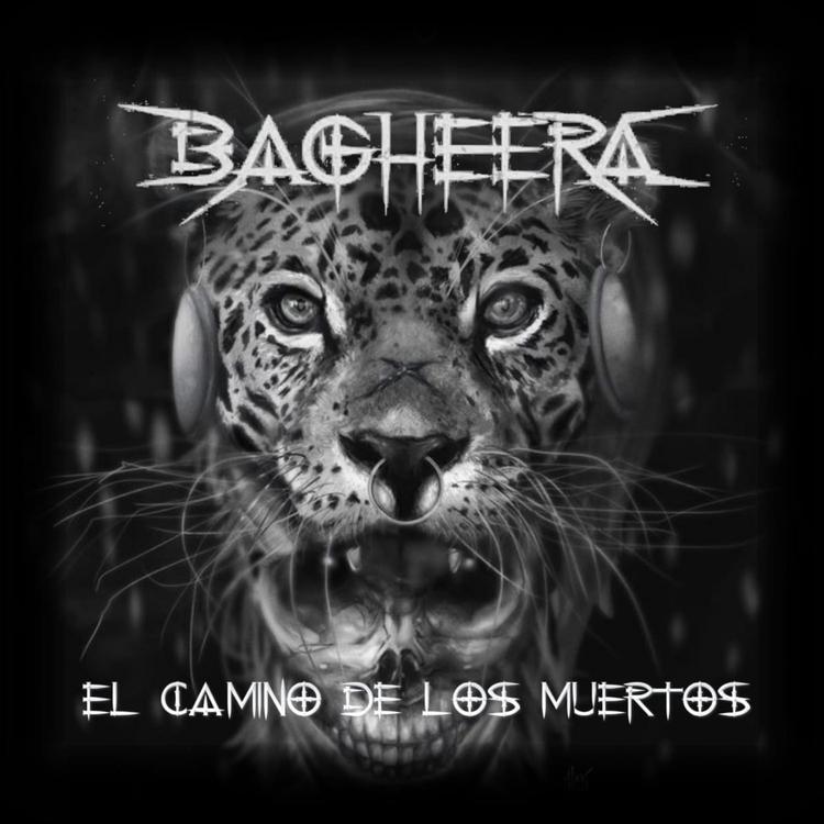 Bagheera's avatar image