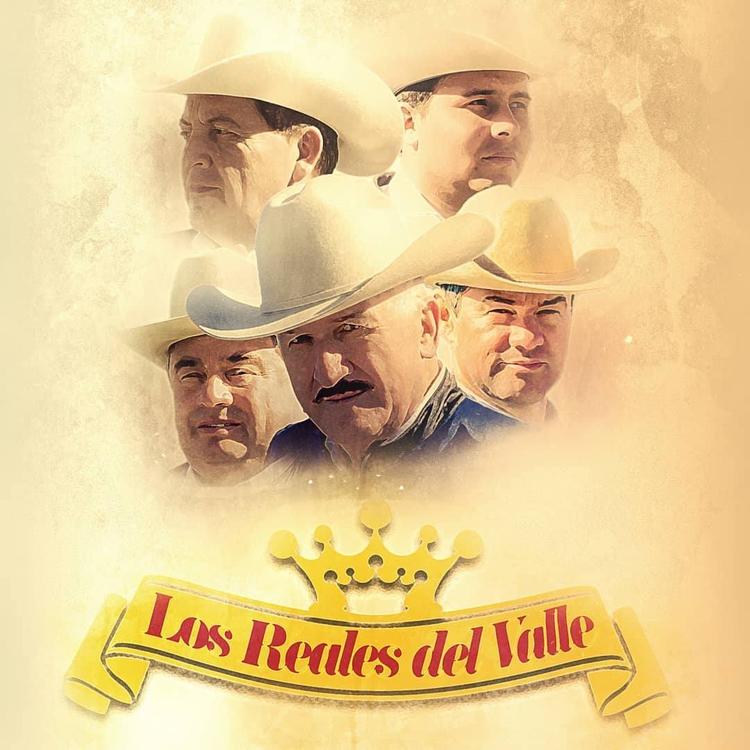 Los Reales Del Valle's avatar image