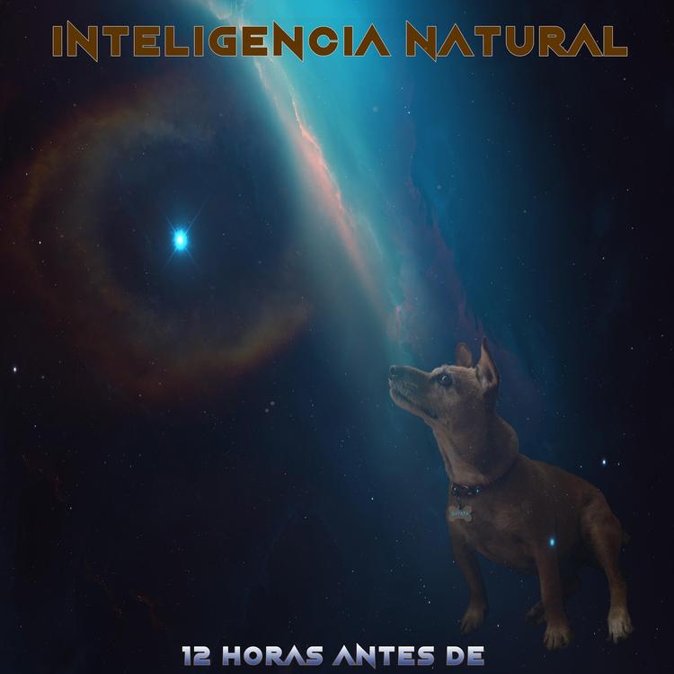 Inteligencia Natural's avatar image