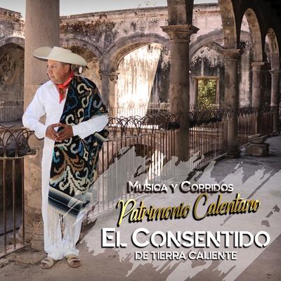 Música y Corridos Patrimonio Calentano's cover