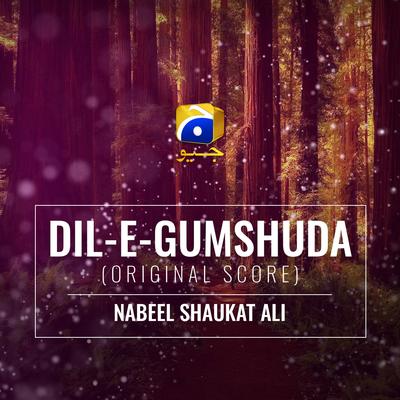 Dil-E-Gumshuda (Original Score)'s cover