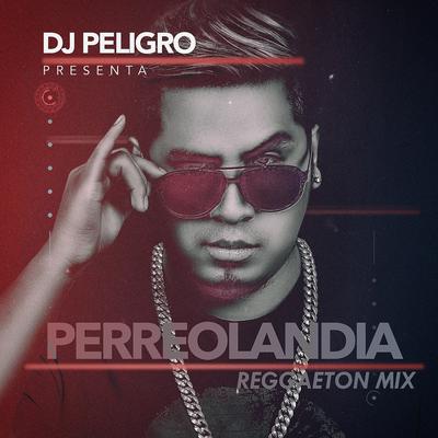 Perreolandia, Vol 1 (Reggaeton Mix)'s cover