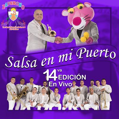 La Solucion de la Salsa (En Vivo)'s cover