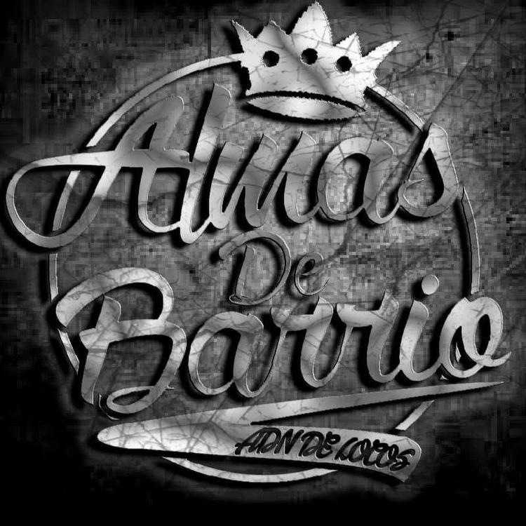 Almas De Barrio's avatar image