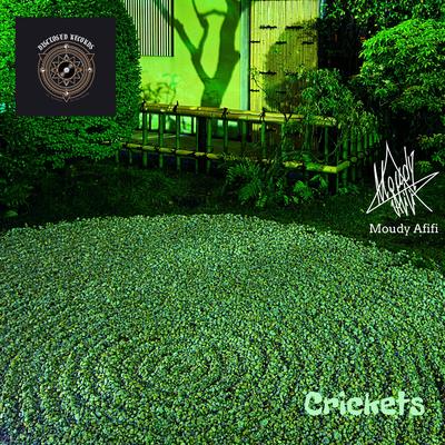 Crickets By Moudy Afifi's cover