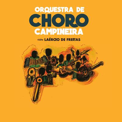 Capim Gordura By Orquestra de Choro Campineira's cover