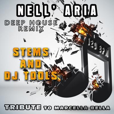 Nell' Aria : Deep House Remix, Stems and DJ Tools, Tribute to Marcella Bella (120 BPM)'s cover