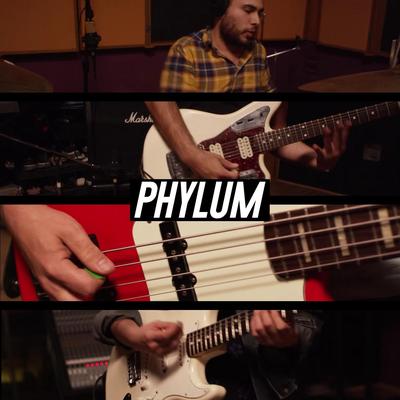 Phylum (feat. Vanessa Zamora, Joakks, Technicolor Fabrics, Wicho, Ray Coyote, Isis Zapata, David Muñoz & Los Master Plus)'s cover